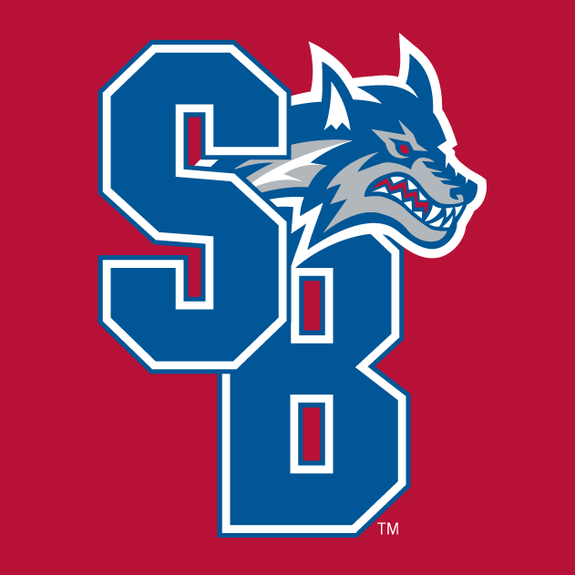 Stony Brook Seawolves 2008-Pres Alternate Logo v4 DIY iron on transfer (heat transfer)